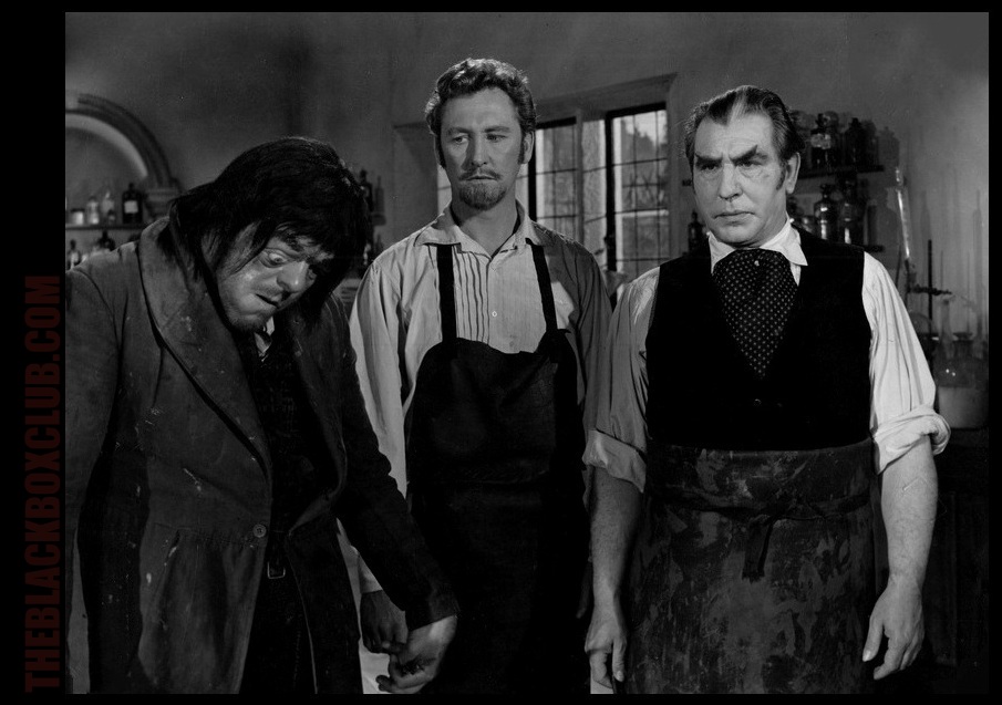 BARBARA SHELLEY: BLOOD OF THE V...